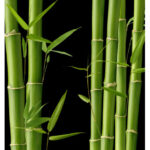 YODEYMA KARA PARFUM 15ML