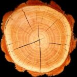 YODEYMA PARFUM 15ML BOREAL